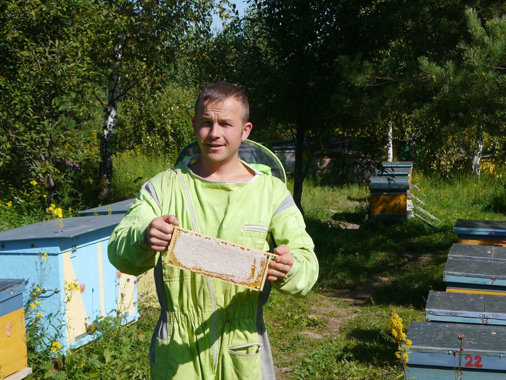 Пчелопродукция со своей пасеки 